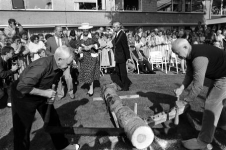 Koningin Beatrix bezoekt Oost Overijssel klompenmakers, Bestanddeelnr 933-4054