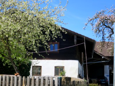 Knogl 1 Frauenneuharting