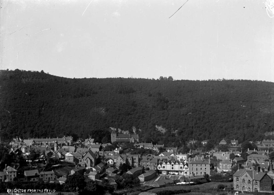 Knighton from the Frydd (1293619)