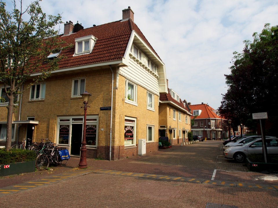 Koekoekstraat hoek Kievitstraat pic2