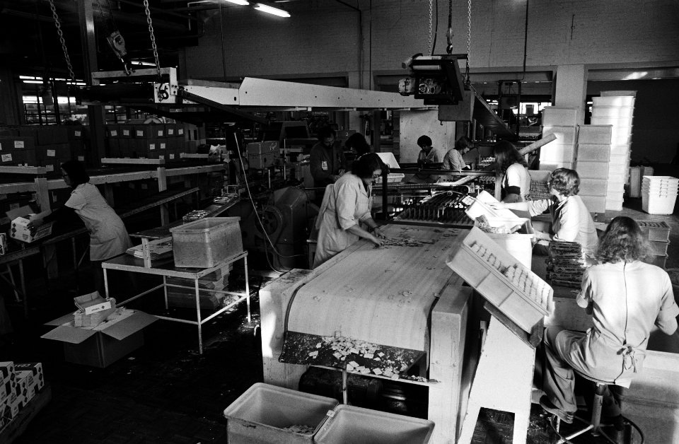 Koekfabriek Patria bezet produktie gaat gewoon door, meisjes aan het werk, Bestanddeelnr 929-9979