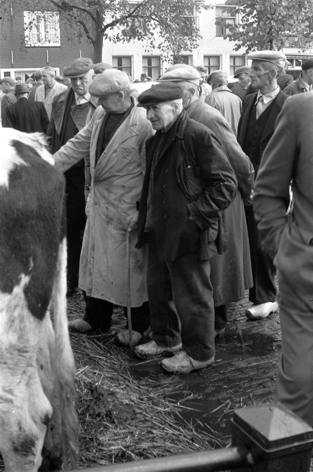 Koeienmarkt te Purmerend, Bestanddeelnr 911-6513
