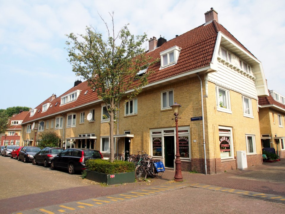 Koekoekstraat hoek Kievitstraat pic1