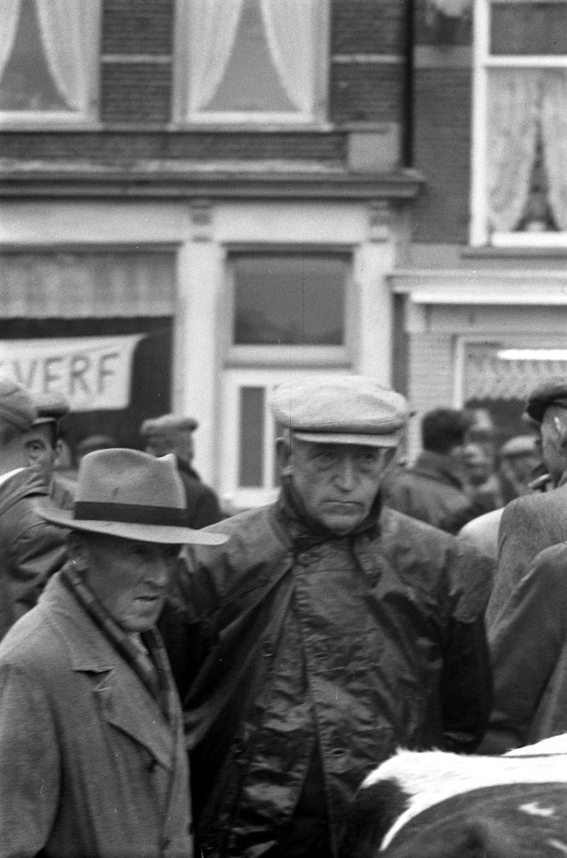Koeienmarkt te Purmerend, Bestanddeelnr 911-6509