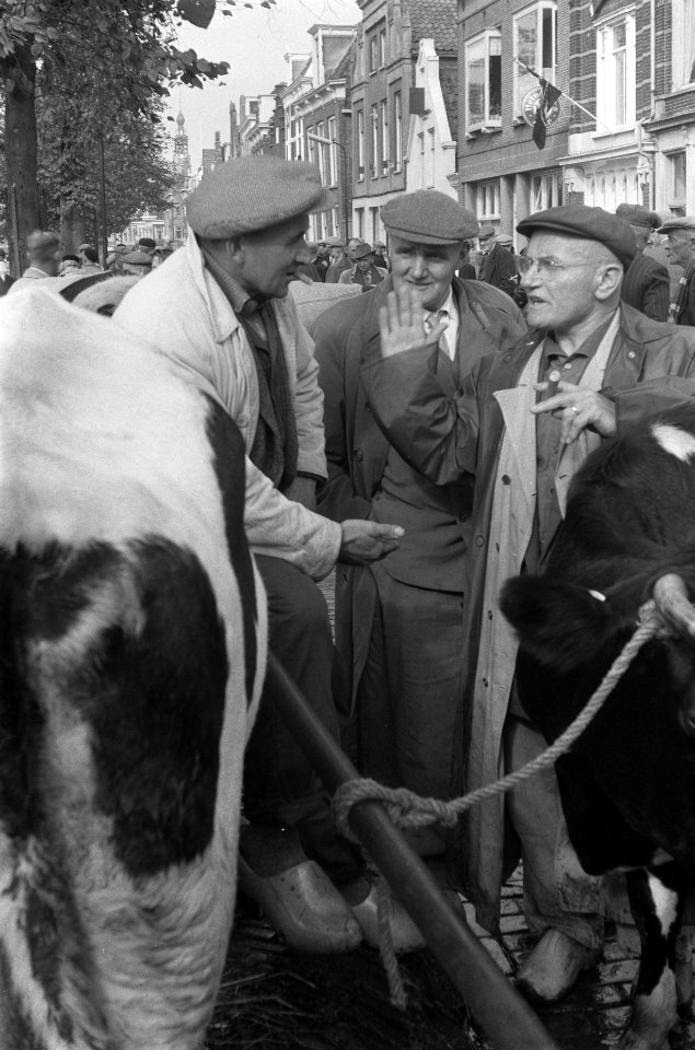 Koeienmarkt te Purmerend, Bestanddeelnr 911-6514