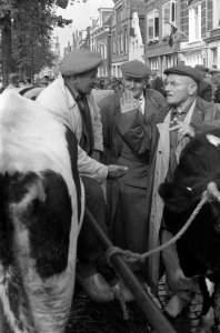 Koeienmarkt te Purmerend, Bestanddeelnr 911-6514