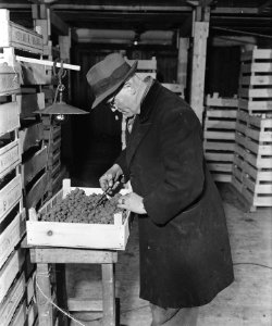 Koelcellen aan de Handelskade, Bestanddeelnr 901-2421