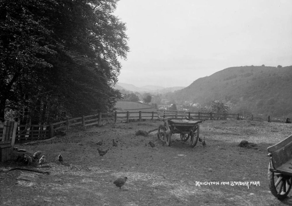 Knighton from Llanshay farm (1293643)