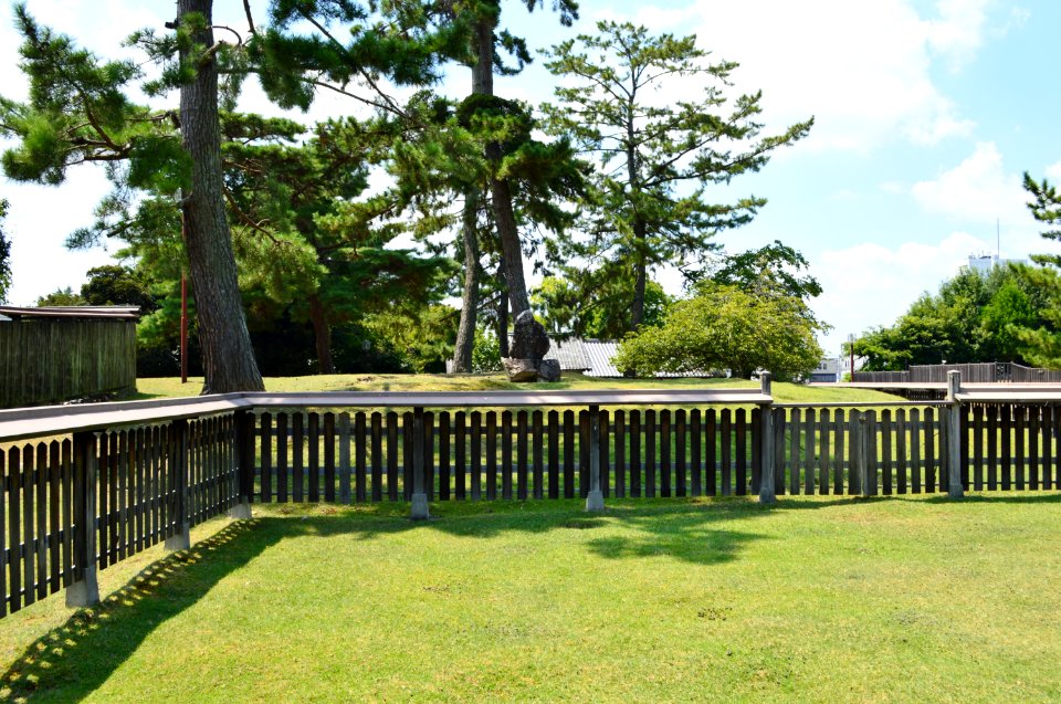 Kofuku-ji, saikondou