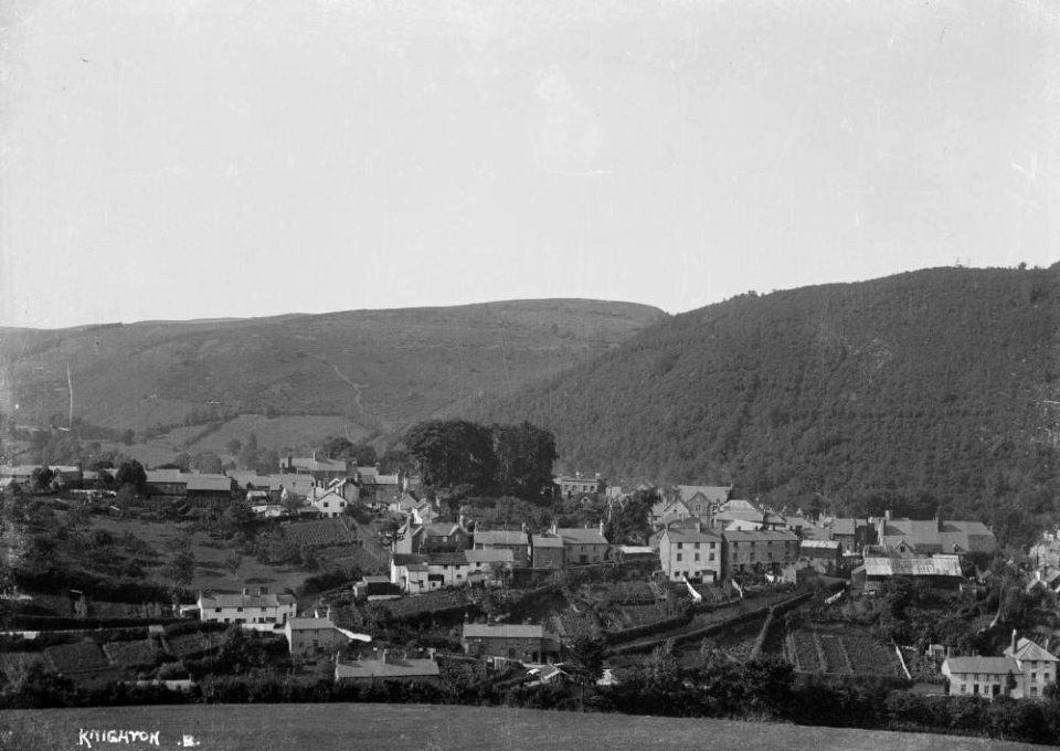 Knighton from the Frydd (1294795)