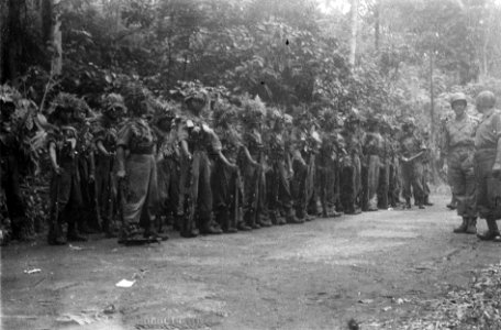 KNIL-militairen met zware camouflage staan aangetreden, Bestanddeelnr 7117