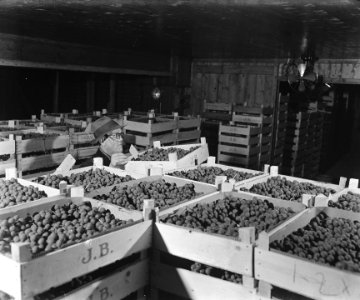 Koelcellen aan de Handelskade, Bestanddeelnr 901-2419