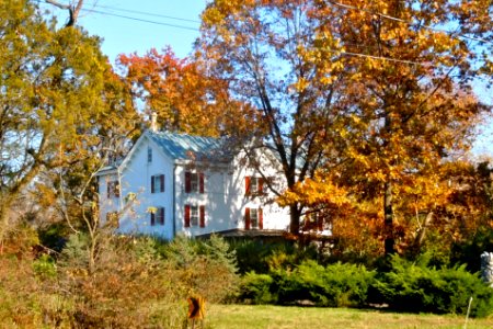 Knipe MR farm Montco PA