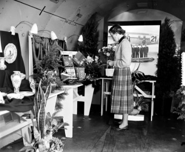 KLM DC 6A Liftmaster Ir. A. Damme (winnaar London-Christchurch Canterbury Cent, Bestanddeelnr 906-0870