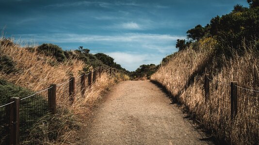 Path sky brown grass