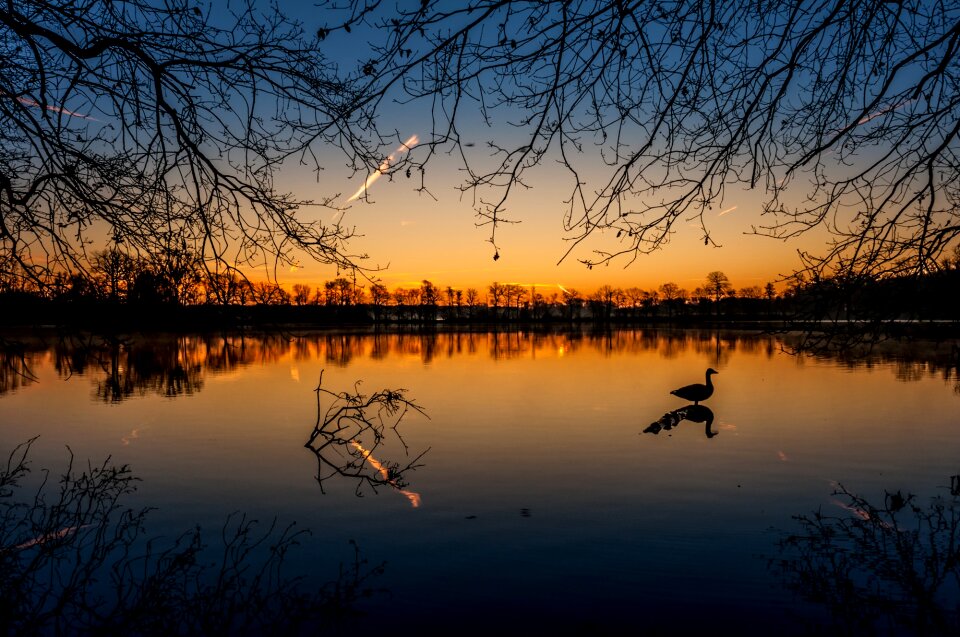 Landscape birds water bird