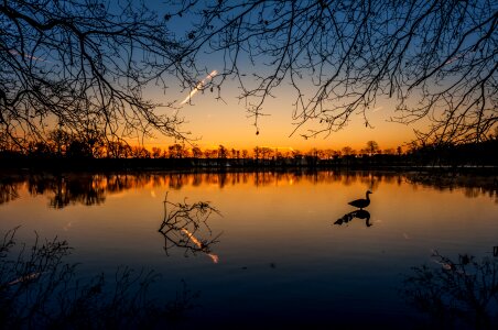 Landscape birds water bird photo