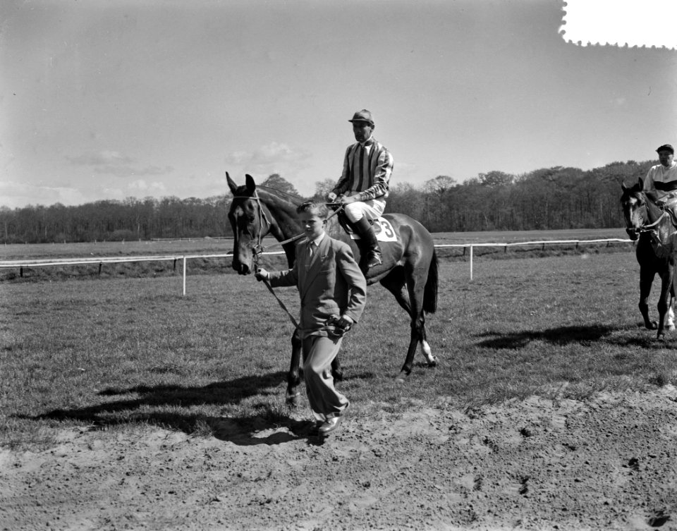 Kolonel Peter Tousend op Duindigt, Bestanddeelnr 907-1283
