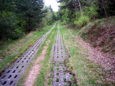 Kolonnenweg-Rimbach-03
