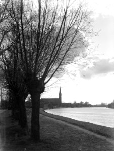Knotwilgen langs de Oude Rijn nabij Hazerswoude, met een kerk op de achtergrond, Bestanddeelnr 189-0391