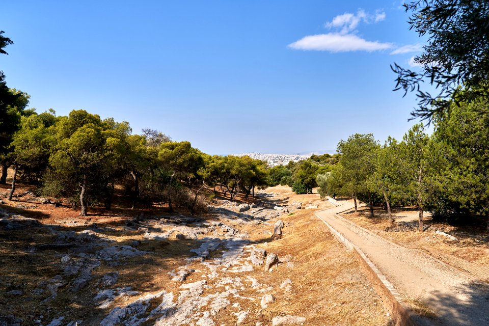 Koile Road on July 24, 2019