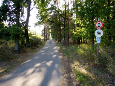 Kohle-Dampf-Licht-Radroute südlich des Bergwitzer Sees im September 2019