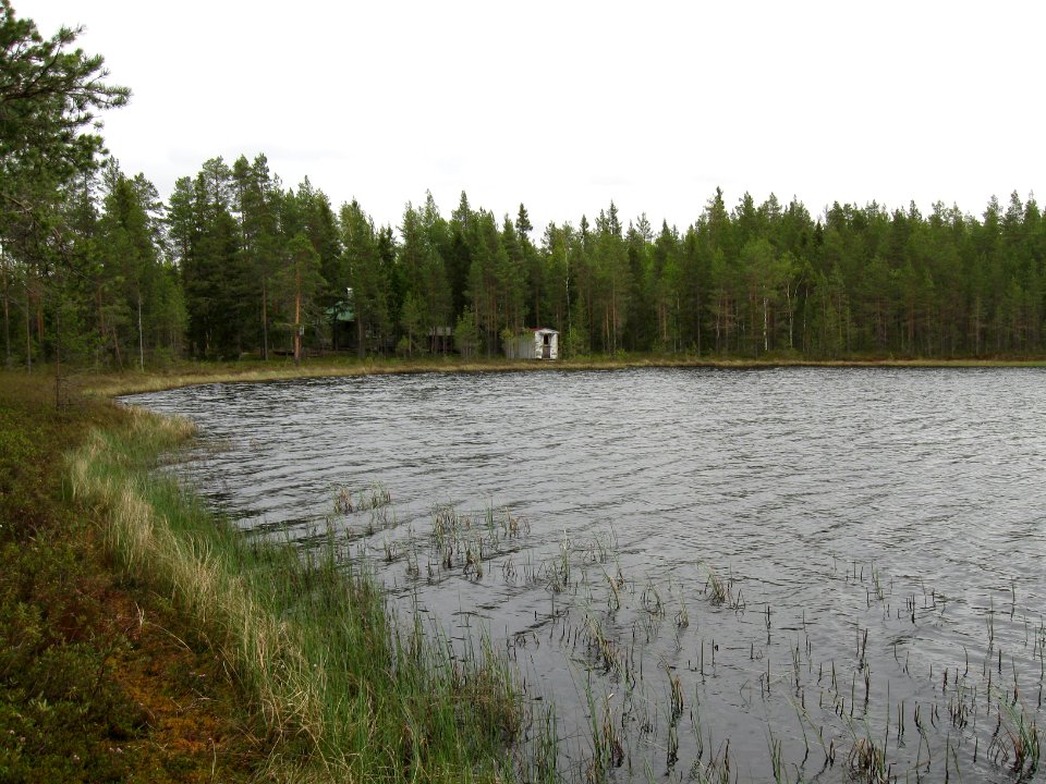 Kolmiloukko Utajärvi