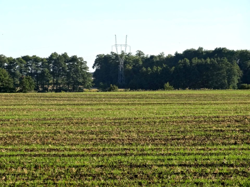 Koluda Wielka 1 09-2013