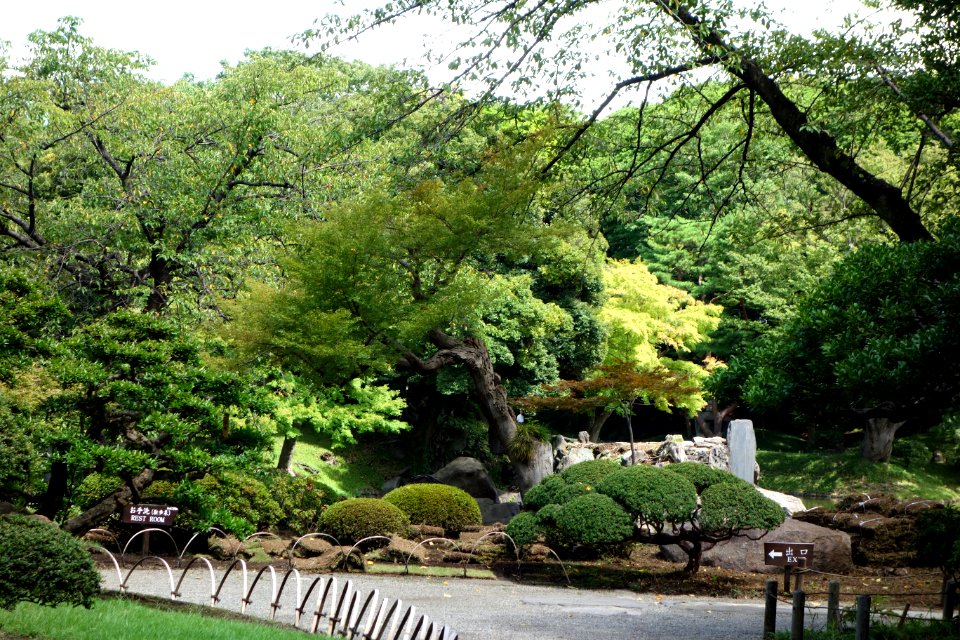 Koishikawa Korakuen - Bunkyō-ku, Tokyo, Japan - DSC09180