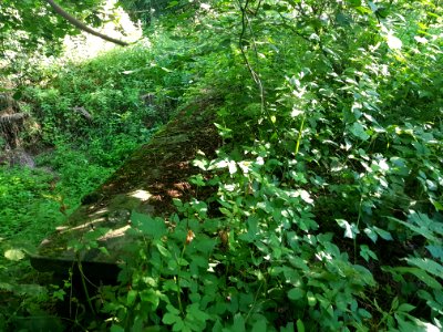 Kolejowe przejście graniczne Pietrowice Głubczyckie-Krnov (3)