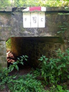 Kolejowe przejście graniczne Pietrowice Głubczyckie-Krnov (5)