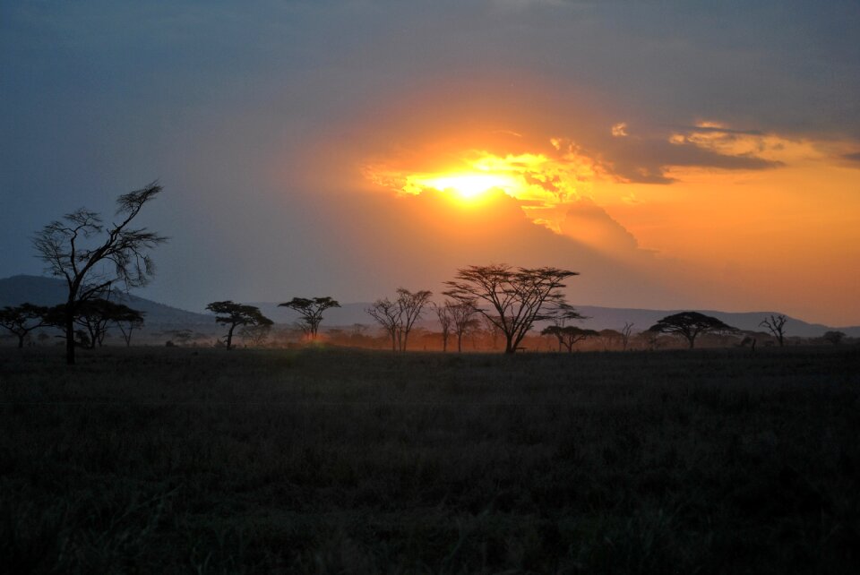 Safari serengeti sunset