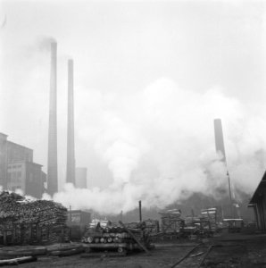 Kolenmijnen Limburg, Bestanddeelnr 901-1013
