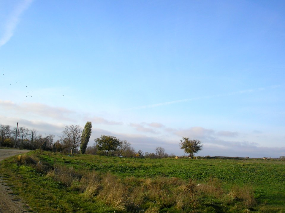 Kolodeznoe 2