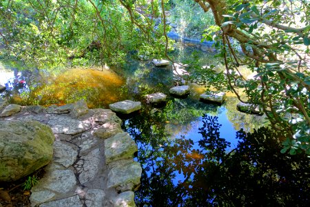 Koi pond - Isamu Taniguchi Japanese Garden - Zilker Botanical Garden - Austin, Texas - DSC09057