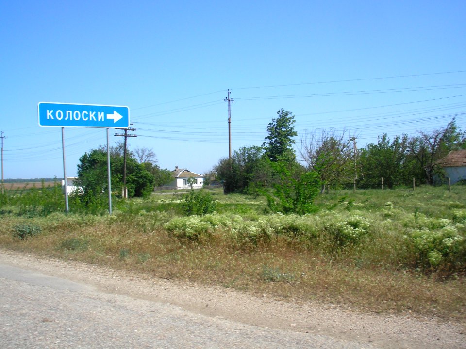 KoloskiDz 1