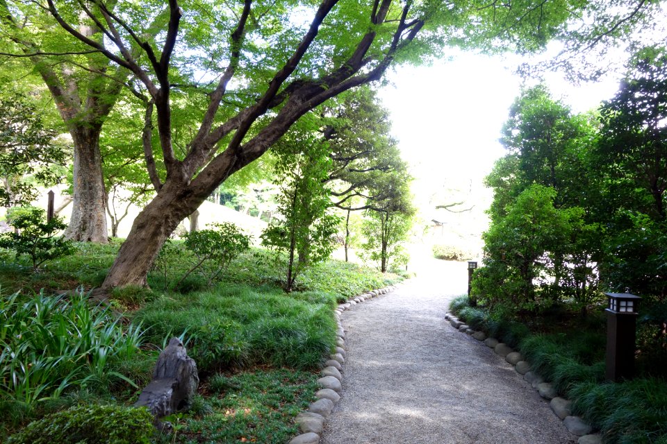 Koishikawa Korakuen - Bunkyō-ku, Tokyo, Japan - DSC09177