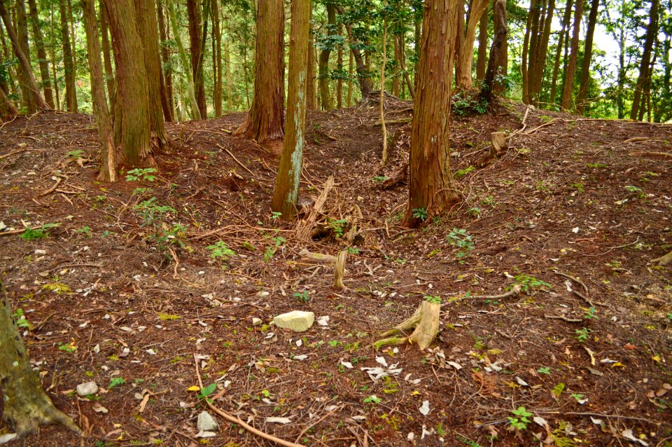 Kojin-yama Kofun, kouenbu
