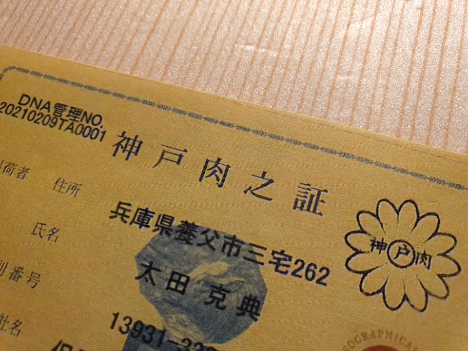 Kobe beef certificate on frozen box 5 photo