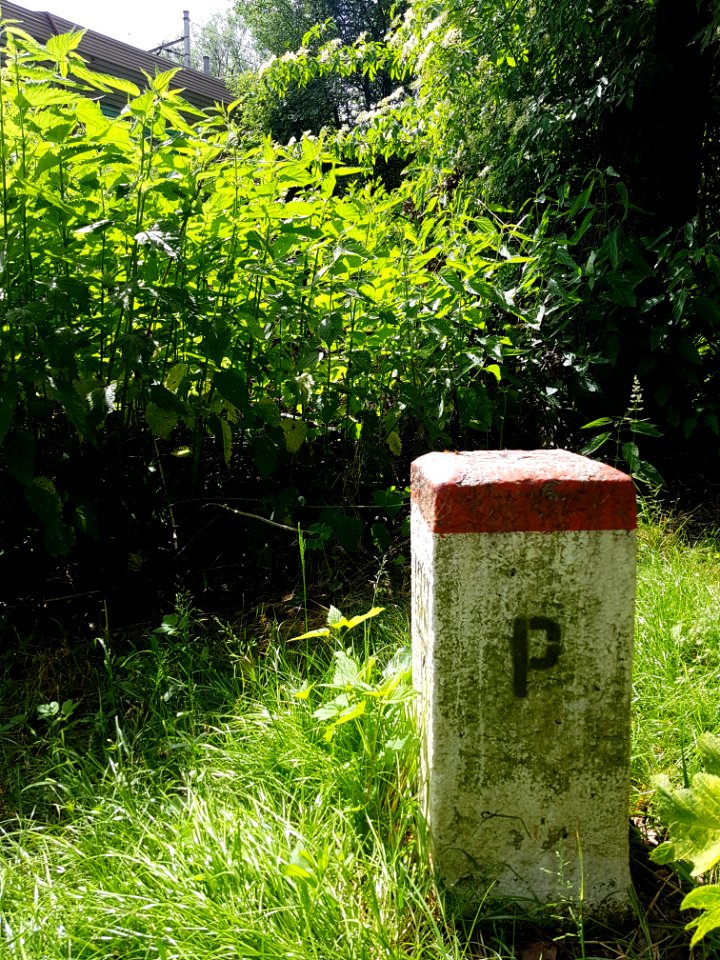 Kolejowe przejście graniczne Zebrzydowice-Petrovice u Karviné (4)