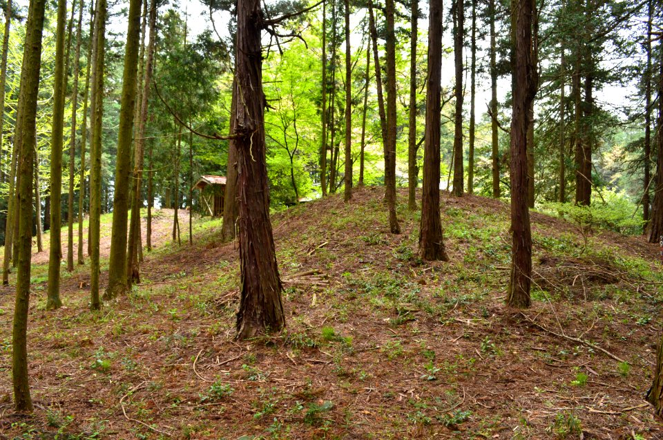 Kokubunji Atagozuka Kofun zenkei