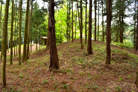 Kokubunji Atagozuka Kofun zenkei