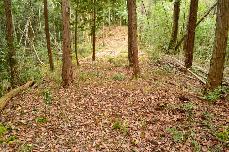 Kokoge Kofun Group-1, kouenbu