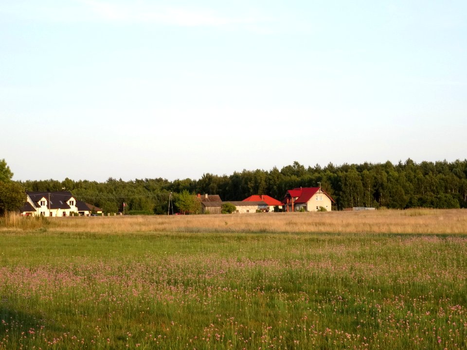 Kolankowo 5 7-2015