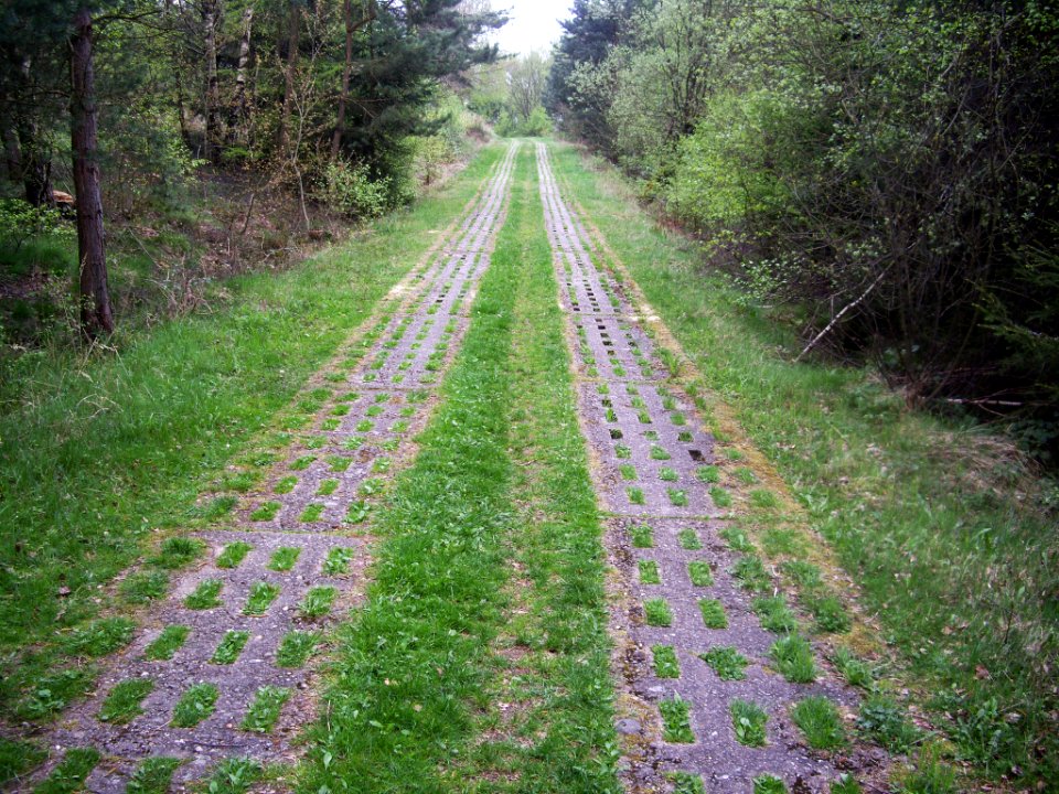 Kolonnenweg-Rimbach-04