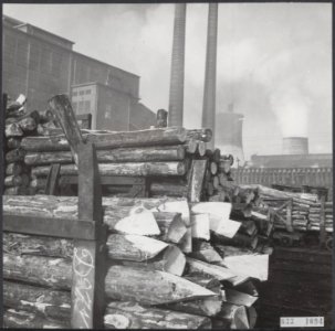 Kolenmijnen Limburg. Op de voorgrond slede met houten stutten. Deze zijn aangesp, Bestanddeelnr 033-1094