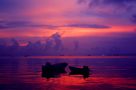 Sunset sanya the deer