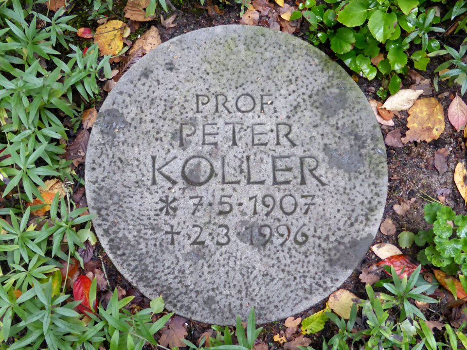 Koller Peter Stein