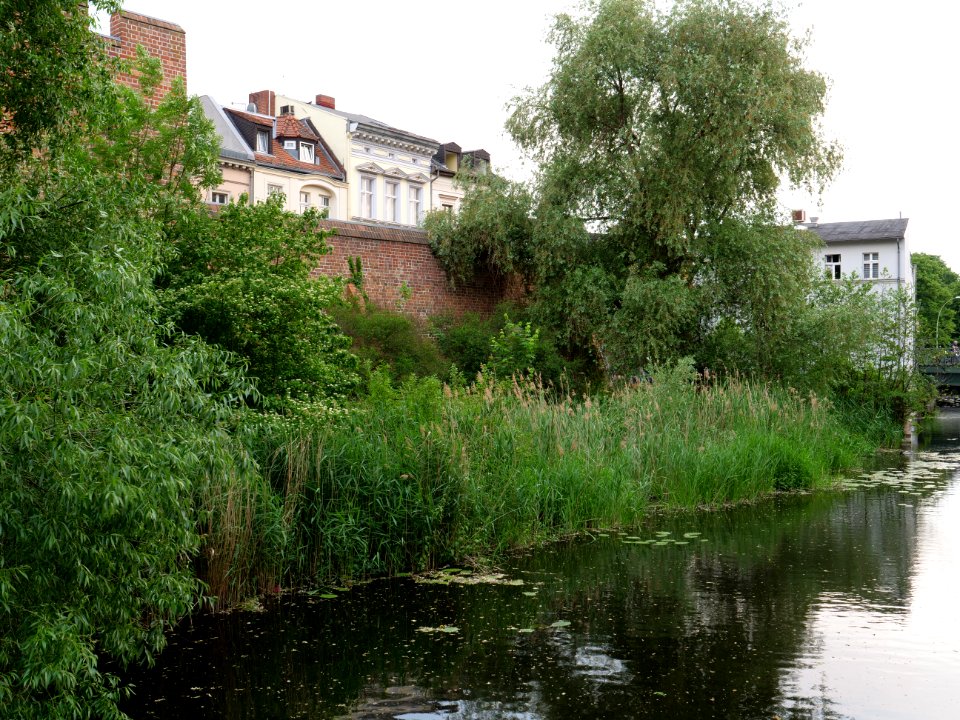 Kolk Spandau from Möllentorsteg 2019-06-03 03