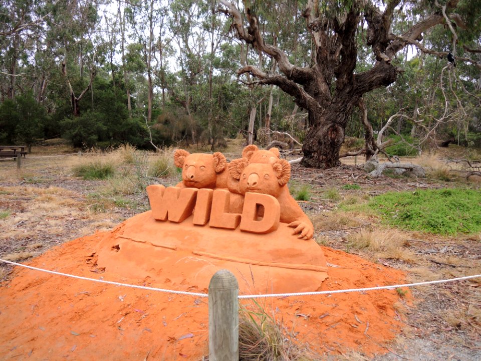 Koala Conservation Centre (7 January 2020) 01
